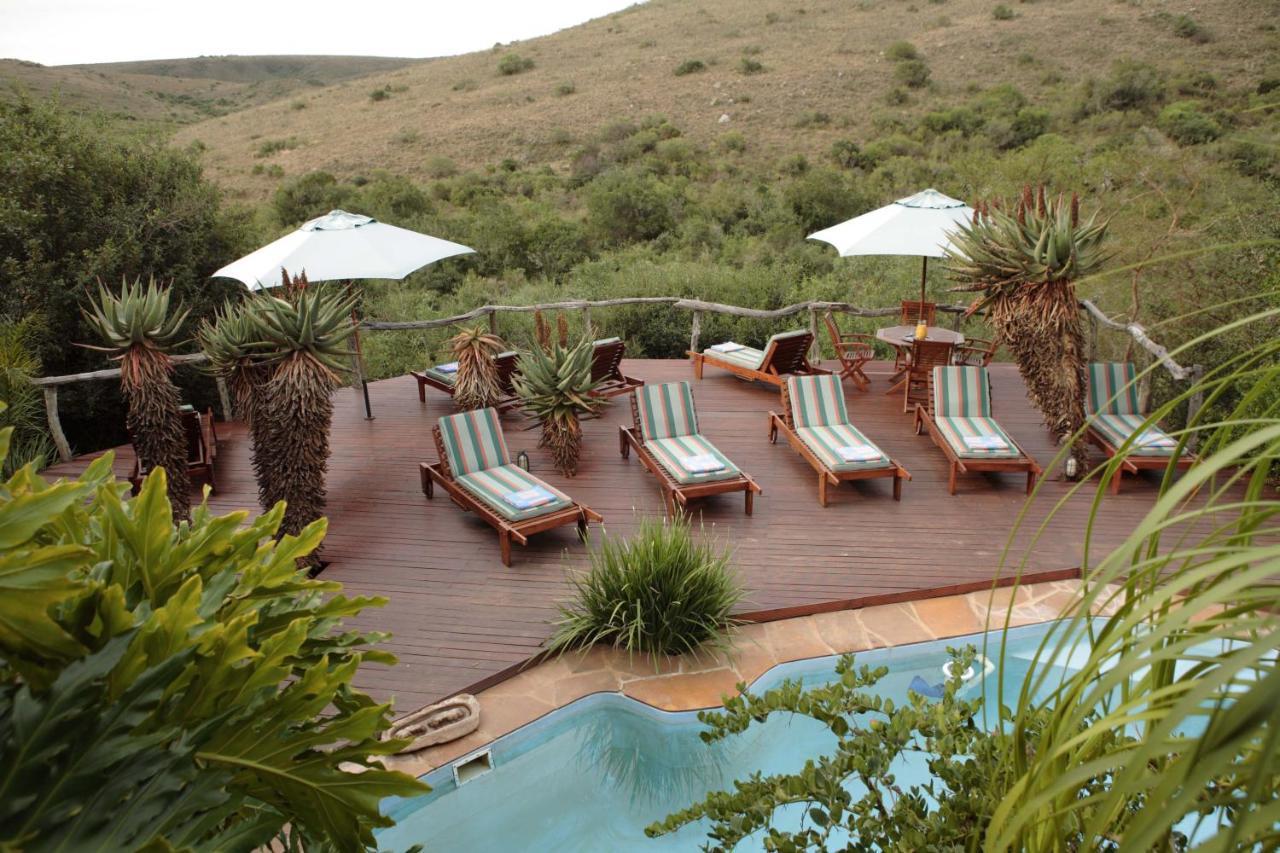 Lalibela Game Reserve Lentaba Safari Lodge Paterson Exterior foto